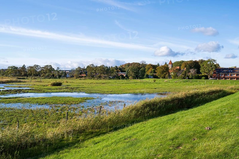 Field near Middelhagen with large puddles, Lobbe, Mönchgut peninsula, Rügen, island, Baltic Sea, Mecklenburg-Western Pomerania, Germany