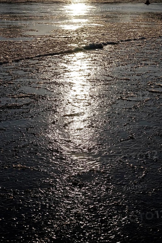 Elbe with ice, winter, Dresden, Saxony, Germany