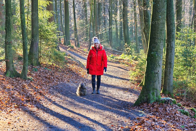 Woman walking through the winter forest with dog, back light