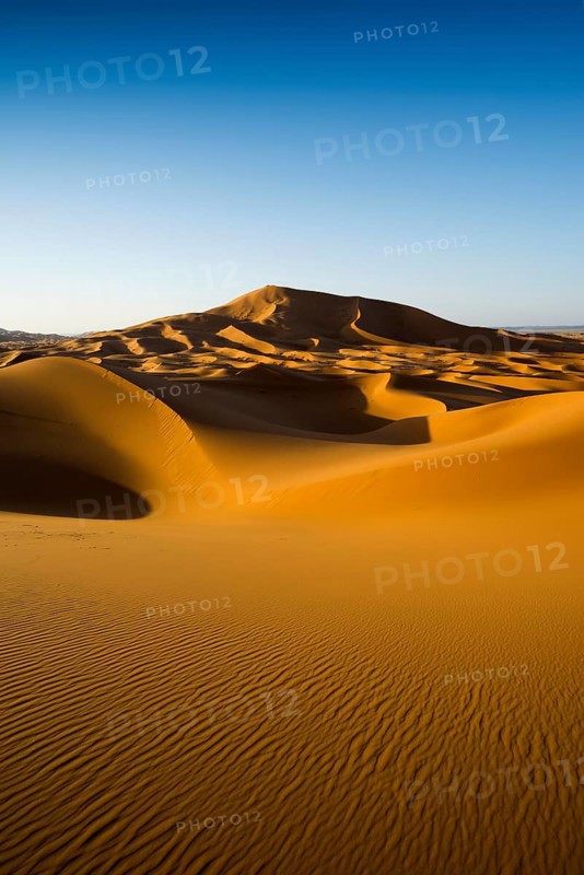 Sand dunes, sunset, near Merzouga, Meknès-Tafilalet region, Erg Chebbi, northern Sahara, Morocco