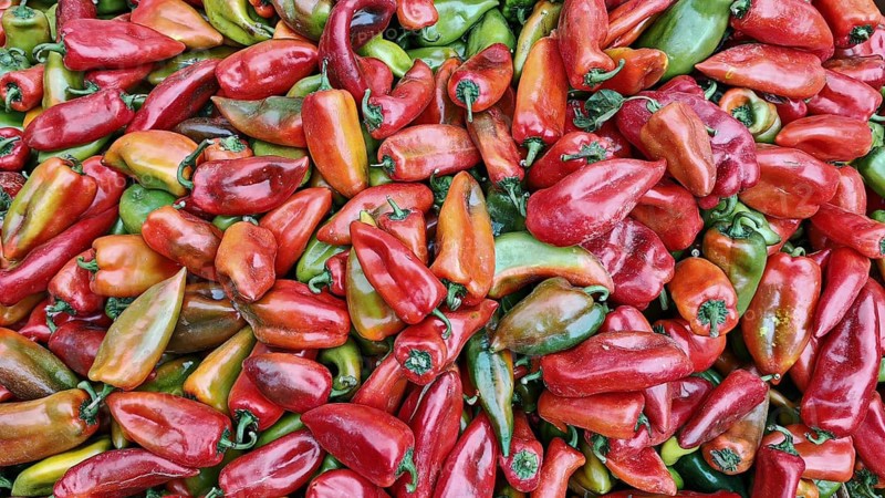 Fresh peppers (capsicum) in various colours and shapes, North Macedonia