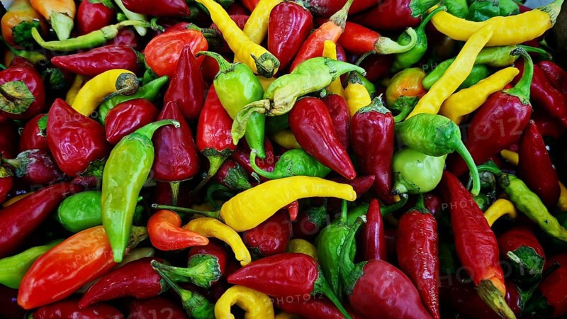 Fresh colourful peppers (Capsicum) in different colours on the market, North Macedonia