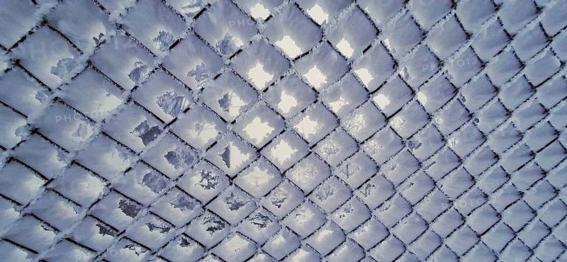 Frozen grid pattern with a cool, bluish atmosphere, Thuringian Forest, Germany