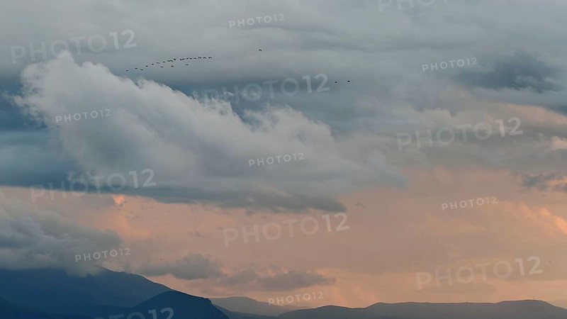 Birds against a dramatic sky with clouds and distant mountains, Lake Ohrid, North Macedonia
