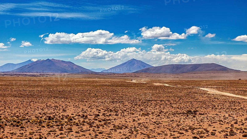 Wide desert landscape with distant mountains and slightly cloudy sky, The landscape of the Altiplano in Bolivia
