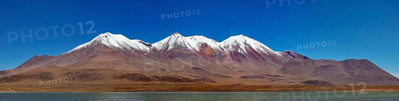 Snow-capped mountains above a desert plateau are reflected in a calm lake under a clear blue sky, Laguna Colorada in Altiplano in Bolivia