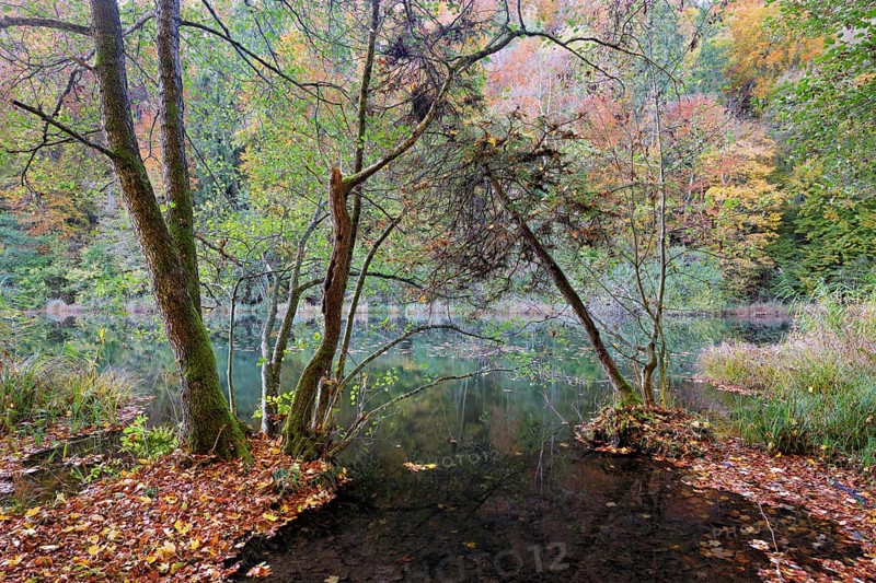 Egelsee in autumn-colored surroundings, Bergdietikon, Canton of Aargau, Switzerland