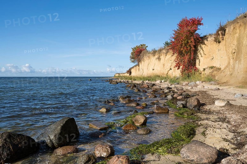 Cliffs on the shores of the Baltic Sea, autumn colors, Klein Zicker, Mönchgut, Rügen island, Baltic Sea, Mecklenburg-Western Pomerania, Germany