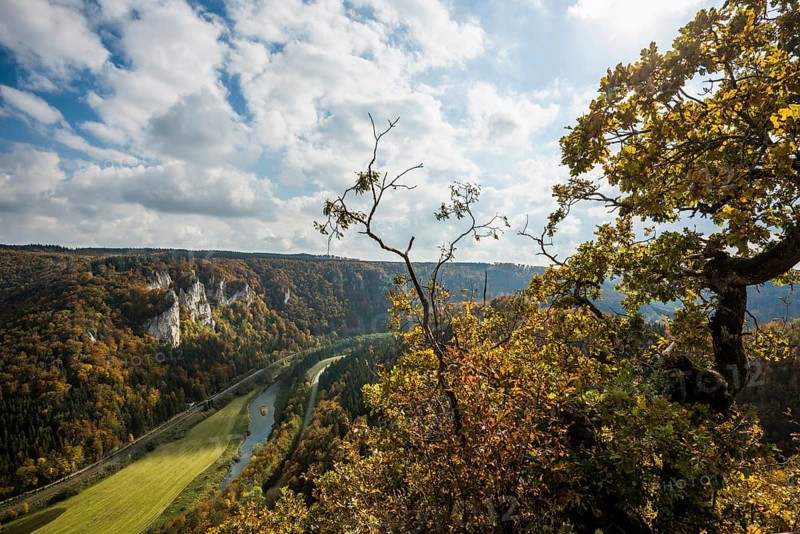 Autumnal forest, Rauher Stein viewpoint, near Leibertingen, Upper Danube nature park Park, Upper Danube Valley, Danube, Swabian Jura, Baden-Württemberg, Germany