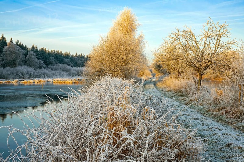Winter hoarfrost at Ahlhorn fish ponds, Ahlhorn fish ponds, Ahlhorn, Lower Saxony, Germany