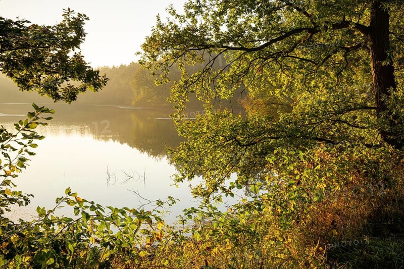 Daybreak at Ahlhorn Fish Ponds, Ahlhorn Fish Ponds, Ahlhorn, Lower Saxony, Germany