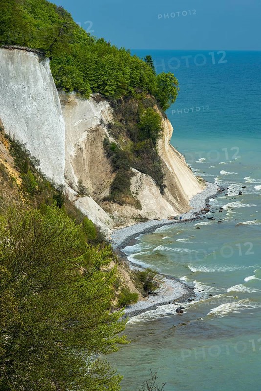 View of chalk cliffs in Jasmund National Park on Rügen, Sassnitz, Rügen, Mecklenburg-Western Pomerania, Germany