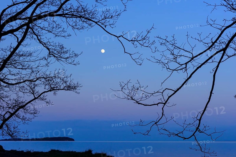 Moonrise on the lagoon on Rügen, Rügen, Glowitz, Mecklenburg-Western Pomerania, Germany