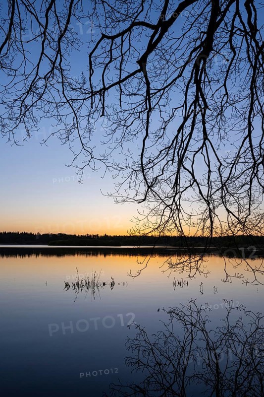 Sunrise at Ahlhorn fish ponds, Ahlhorn, Lower Saxony, Germany