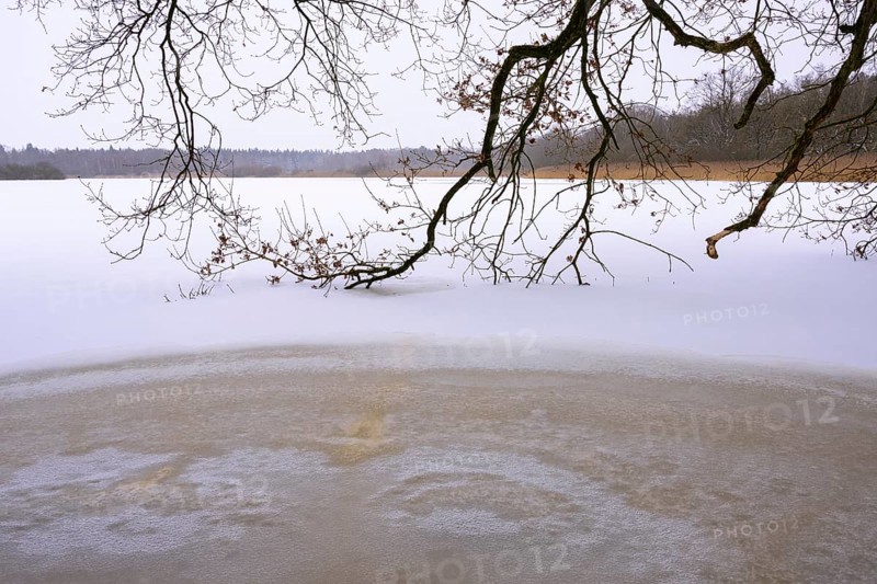 Winter at the Ahlhorn fish ponds, Ahlhorn, Lower Saxony, Germany