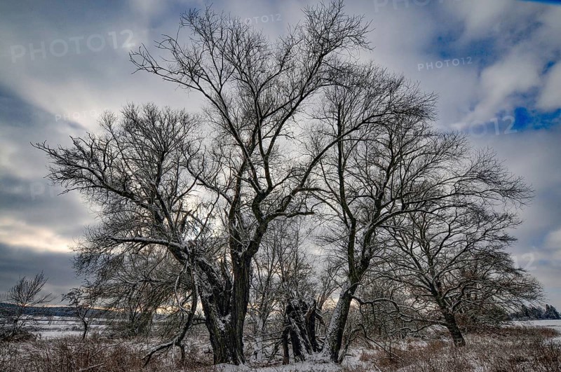 Wintery floodplain landscape along the Schmutter in the Augsburg Western Wälder nature park Park, Bavaria, Germany