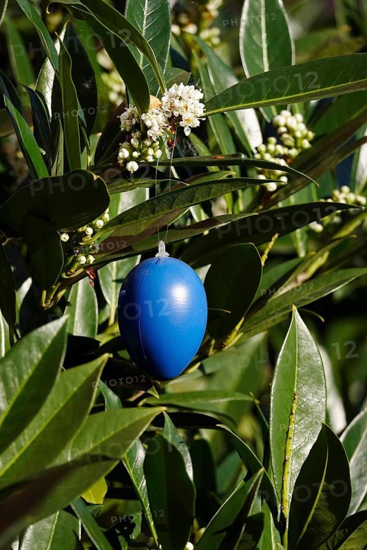 Still life with Easter egg, Germany