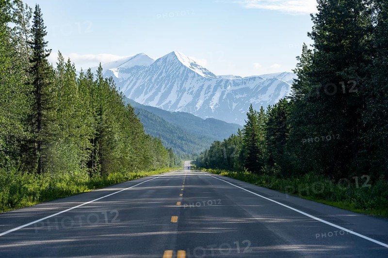 Road through taiga and mountainous landscape, picturesque landscape on Richardson Highway, Alaska, USA