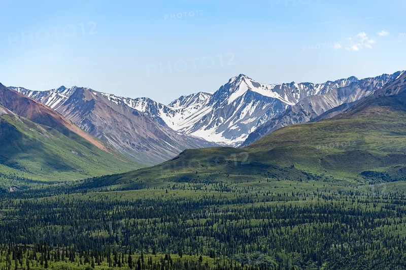 Taiga and tundra in front of mountain landscape, picturesque landscape with icy mountain peaks, Glenn Highway, Alaska, USA