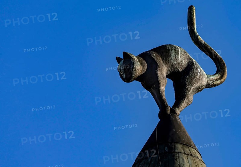 Lead sculpture of a cat on the roof of the cat house against a clear sky, Riga, Latvia