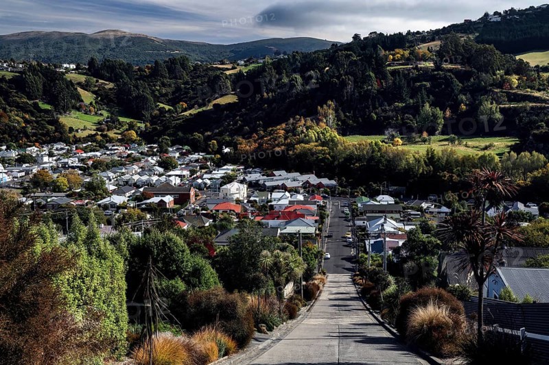 View down a hill town with surrounding vegetation in Dunedin, Dunedin, Otago, New Zealand