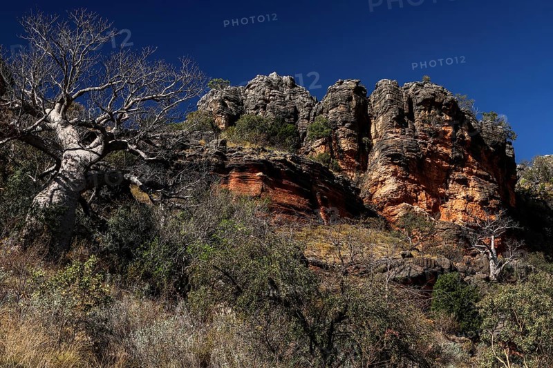 Rocky landscape with trees and distinctive rock formations in the King Leopold Range, zero
