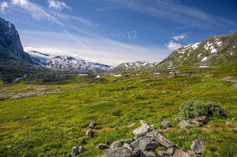 Geiranger, Møre og Romsdal province, Norway, green fields against snow-covered mountains under clear skies