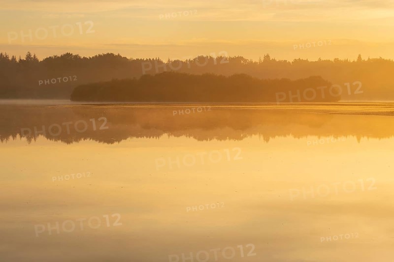 Sunrise with fog on a lake at the Ahlhoner fish ponds, Ahlhorn, Lower Saxony, Germany