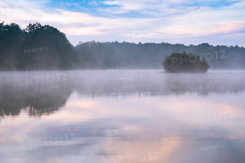 Daybreak with fog at blue hour in the Ahlhorner Fischteiche nature reserve of the Lower Saxony State Forests, Ahlhorn, Lower Saxony, Germany