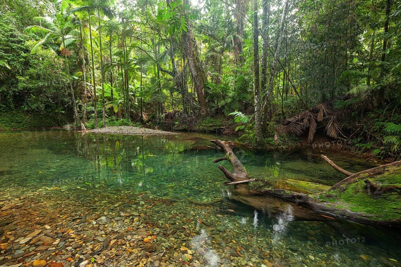 The Blue Hole, Cooper Creek, Daintree National Park, Queensland, Australia