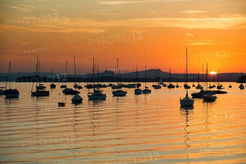 Sailboats, sunset, Allensbach, Untersee, Lake Constance, Baden-Württemberg, Germany