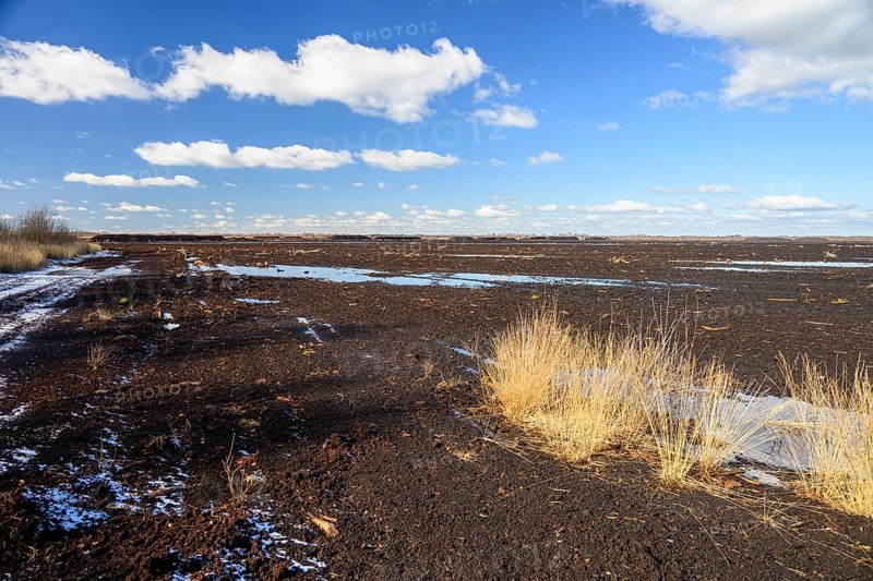 Peated hoochmoor black peat in cloudy skies with earthy colors and natural texture, Diepholzer Moorniederung, Drebber, Lower Saxony, Germany