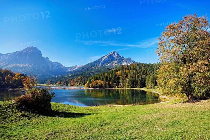 Autumn-colored forest is reflected in Obersee, Näfels, Canton of Glarus, Switzerland