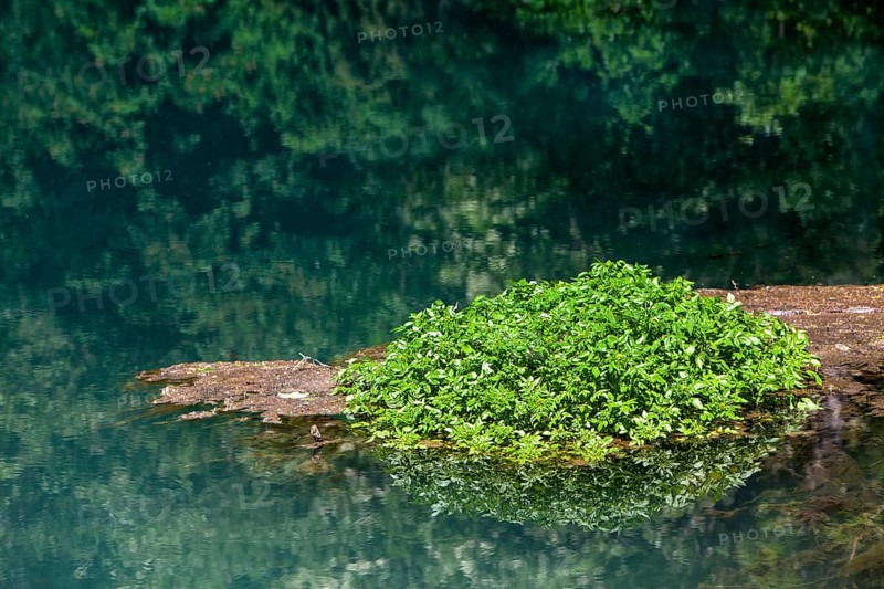 The Rhume Spring with blue-green colouration, source of River Rhume, large karst spring, Harz mountains region, Rotenberg ridge, near Rhumspringe, Germany