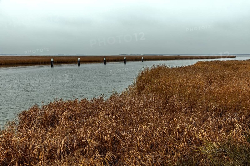 Lagoon area at the Meinigenbrücke near Zingst, Fischland-Darß-Zingst, Western Pomerania Lagoon Area National Park, Mecklenburg-Western Pomerania, Germany