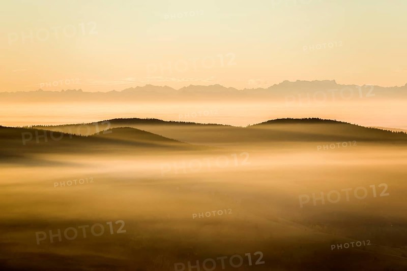 View from Belchen heading south of Wiesental and the Swiss Alps, morning atmosphere with fog in autumn, sunrise, Belchen, Black Forest, Southern Black Forest, Baden-Württemberg, Germany