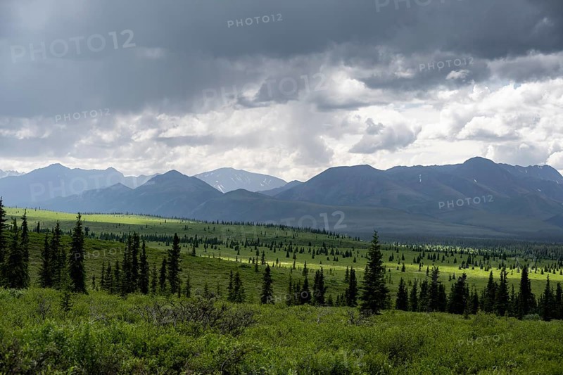 Taiga and tundra, mountain landscape of the Alaska Range with dramatic cloudy sky, Denali National Park, Alaska, USA