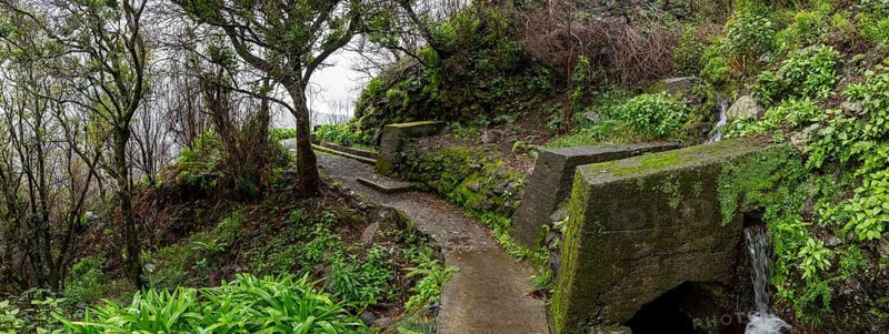 PR17 Pinaculo e Folhadal hiking trail, Levada, Irrigation Canal, Madeira, Portugal
