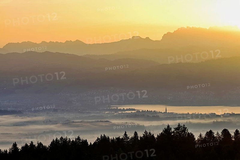 View from Horben of Lake Zug with the city of Cham and Zug covered in fog, behind it the snow-capped mountains Flübrig and Vrenelisgärtli in the light of the rising sun, Beinwil-Freiamt, Canton, Aargau, Switzerland