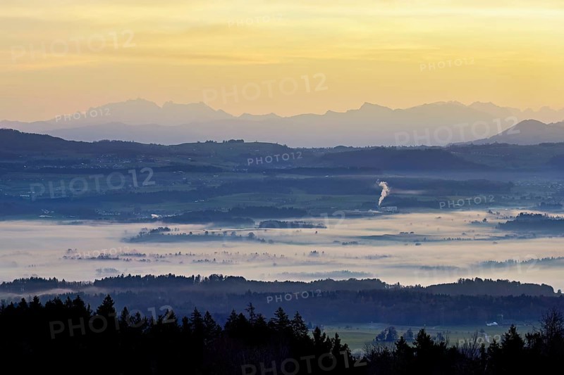 View from Horben of the Reuss Valley covered in fog, behind it the Alpstein with the Säntis in the light of the rising sun, Beinwil-Freiamt, Canton, Aargau, Switzerland