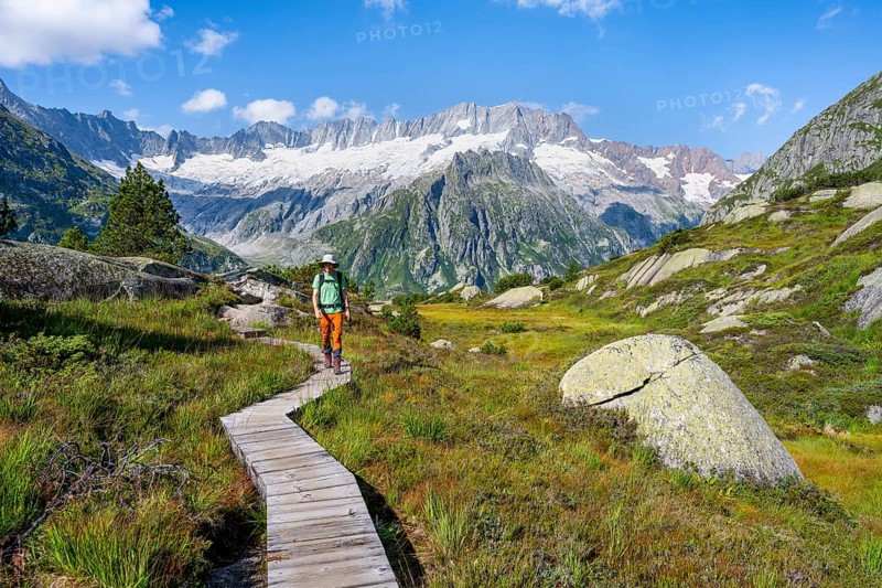 Mountaineers on wooden plank trail through mountain moor, in front of picturesque mountain scenery, Dammastock and Damma glaciers, Göscheneralp, Canton of Uri, Switzerland