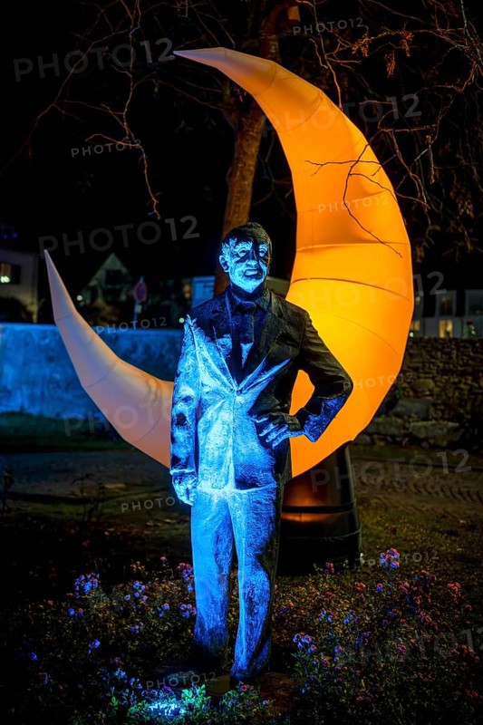 Light art, light installation, illuminated sculptures in the city garden of the city of Radolfzell am Lake Constance, as part of the Radolfzell Lichtblicke event and art campaign, supported by the Ministry of Labour, Economy and Tourism Baden-Württemberg, Konstanz district, Baden-Württemberg, Germany