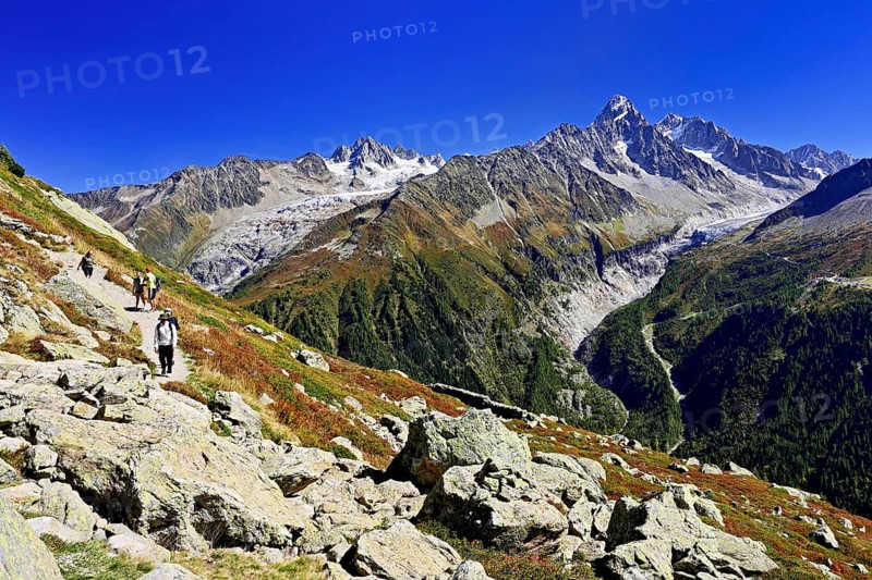 From left front Glacier du Tour back Aiguilles du Tour, right Aiguille du Chardonnet, in front foothills of the Argentière Glacier, Chamonix-Mont-Blanc, Haute-Savoie, France