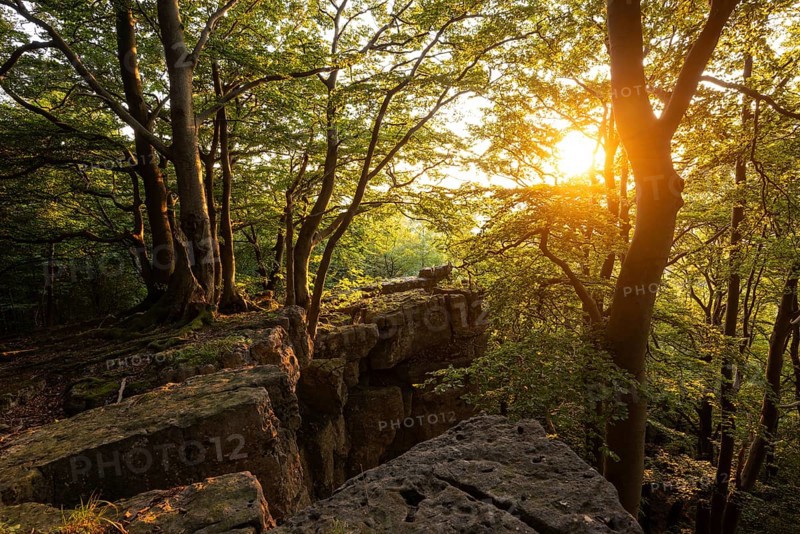 A picturesque sunset bathes the forest and rocky cliffs of the Kanstein in golden light, Thüster Berg, Ith-Hils-Weg, Salzhemmendorf, Lower Saxony, Germany