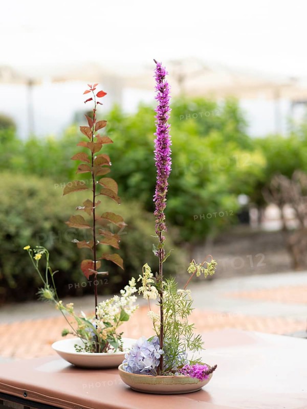 Two ikebana arrangements created during a workshop, featuring purple loosestrife, hydrangea, and other plants, showcased on a table