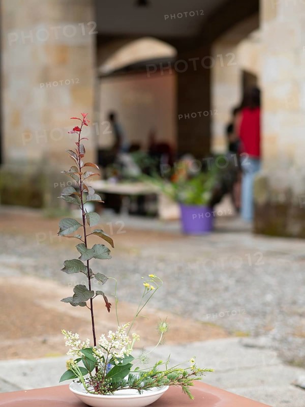 Floral arrangement made during an ikebana workshop, showcasing artistic composition and natural elements