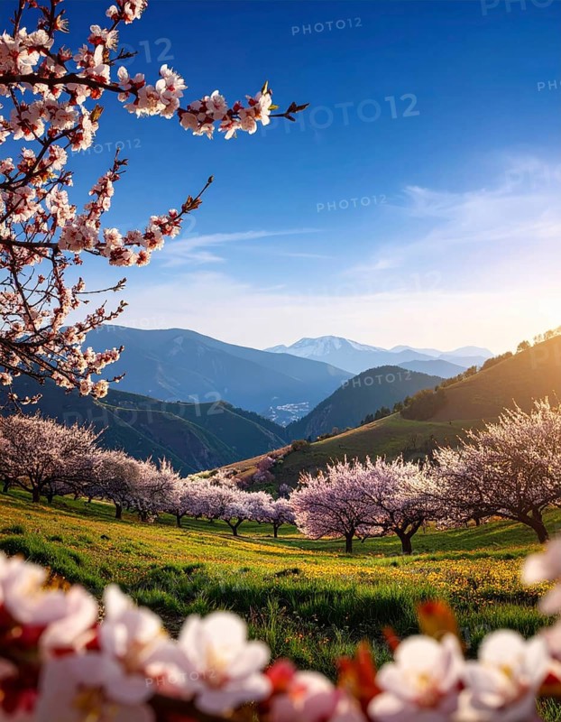 Landscape with a blooming apricot tree, idilyc spring nature, green grass and mountains in background, blue cloudy sky in sunset web banner spring time concept, AI generated