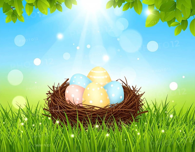Nest with easter eggs in grass on a sunny spring day, Easter wallpaper decoration drawing, banner, panorama, background, abstract vector illustration, AI generated