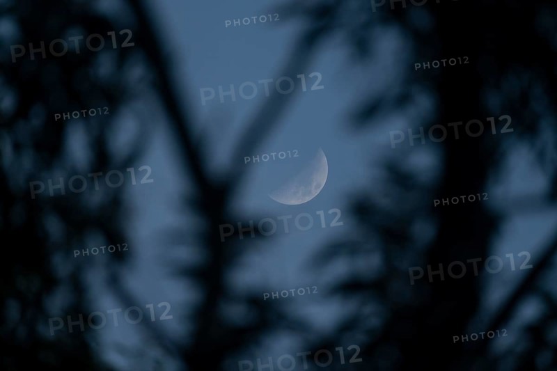 Crescent moon obscured by silhouette of branches against a dark night sky, Dhaka, bangladesh