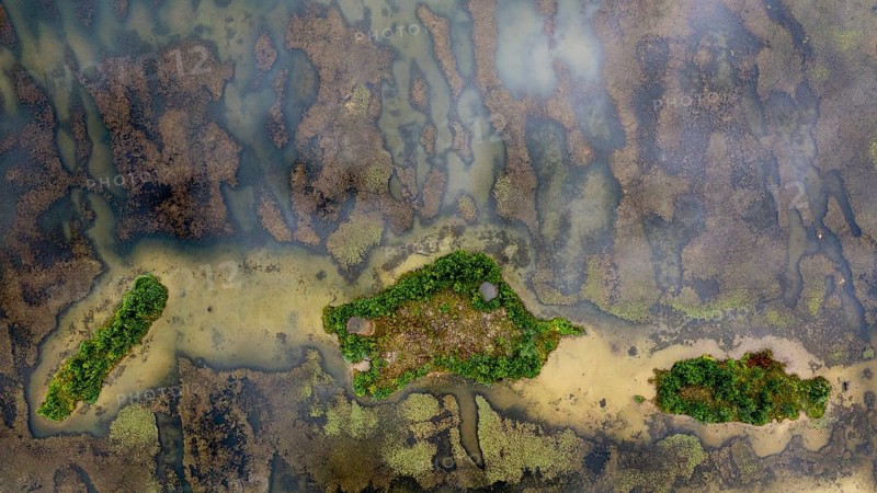 Aerial view, islands in the Drau, river, Carinthia, Austria